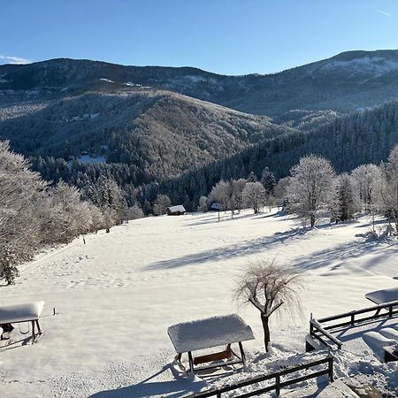 Romanka Żabnica エクステリア 写真